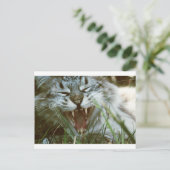 Fangs Postkarte (Stehend Vorderseite)