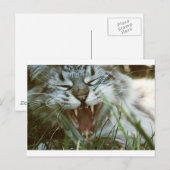 Fangs Postkarte (Vorne/Hinten)