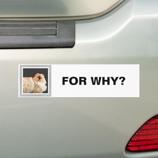 Fangsy Autoaufkleber #2 (Auf Auto)