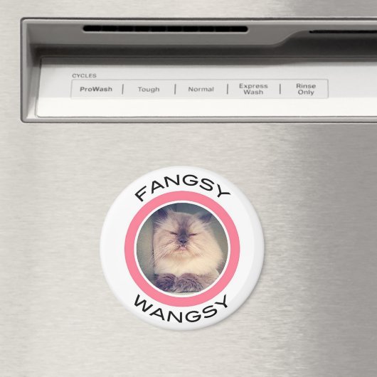 Fangsy Magnet (In Situ (Geschirrspüler))