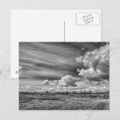Fangwolken (B&W) Postkarte (Vorne/Hinten)