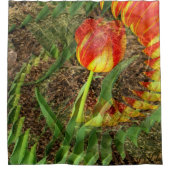 Fanned Tulip......... Duschvorhang (Vorderseite)