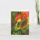 Fanned Tulip...... Karte (Vorderseite)