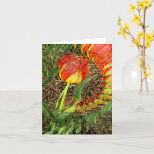 Fanned Tulip...... Karte (Gelbe Blume)