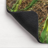 Fanned Tulip....... Mousepad (Ecke)