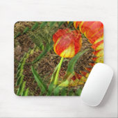 Fanned Tulip....... Mousepad (Mit Mouse)