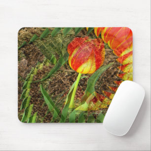 Fanned Tulip....... Mousepad