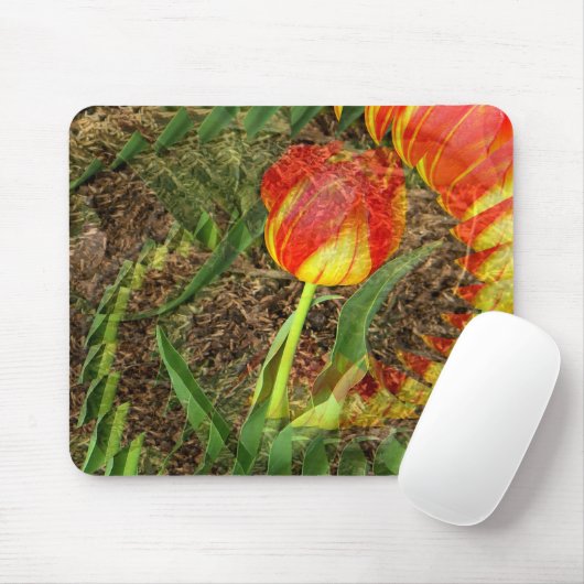 Fanned Tulip....... Mousepad (Mit Mouse)