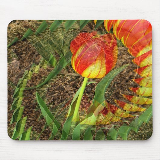 Fanned Tulip....... Mousepad (Vorne)