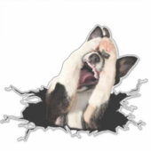 Fanny Hund Gesichtsaufkleber Aufkleber (Vorderseite)