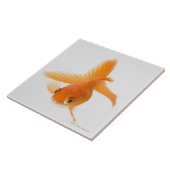 Fantail-Goldfisch (Carassius auratus) Fliese (Seite)