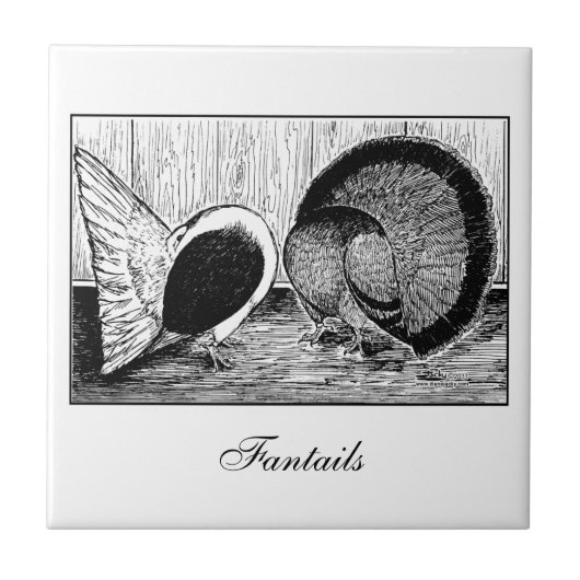 Fantail Pair Fliese (Vorderseite)