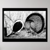 Fantail Pair Poster (Vorne)