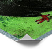 Fantail Pigeon Black Poster (Ecke)