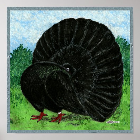 Fantail Pigeon Black Poster (Vorne)
