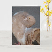 Fantail Pigeon Karte (Gelbe Blume)