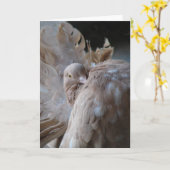 Fantail Pigeon Karte (Gelbe Blume)