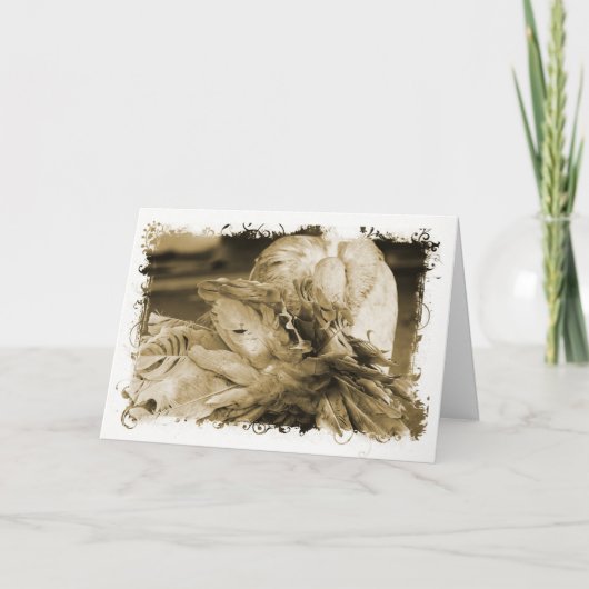 Fantail Pigeon Karte (Vorderseite)