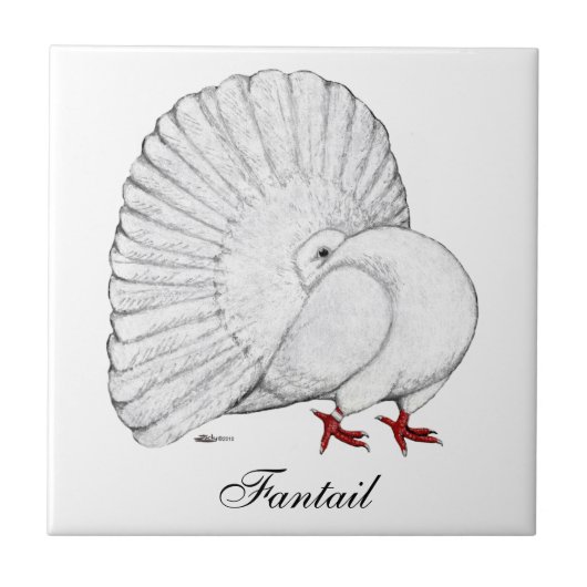 Fantail Pigeon White Fliese (Vorderseite)