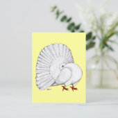 Fantail Pigeon White Postkarte (Stehend Vorderseite)