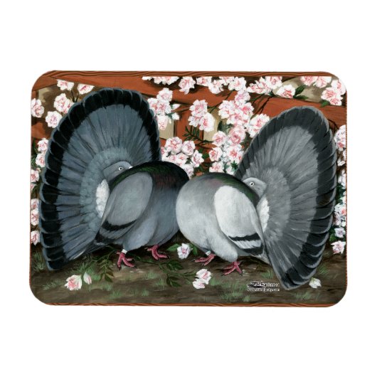 Fantail Pions Matched Pair Magnet (Horizontal)
