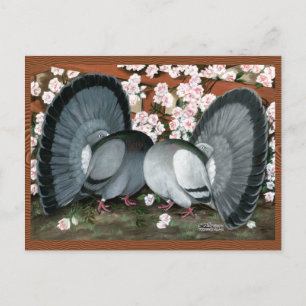 Fantail Pions Matched Pair Postkarte
