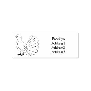 Fantail Taube Cartoon Illustration Gummistempel