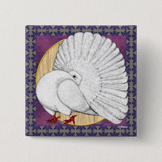 Fantail Taube weiß mit Hintergrund Button (Vorderseite)