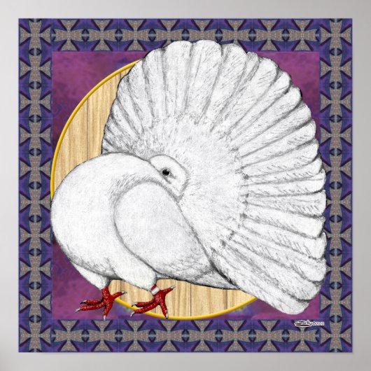 Fantail Taube weiß mit Hintergrund Poster (Vorne)