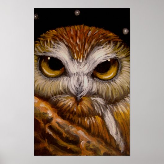 FANTASE SAW-WHET OWL Poster (Vorne)