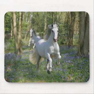 Fantasie-Pferde: Bluebell-Holz Mousepad
