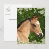 Fantasie-Pferde: Blumen Postkarte (Vorne/Hinten)