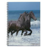 Fantasie-Pferde: Friesische Rinder u. Meer Notizblock (Vorderseite)