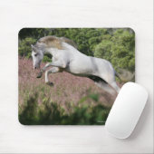 Fantasie-Pferde: Frühlings-Galopp Mousepad (Mit Mouse)