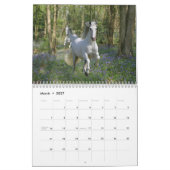 Fantasie-Pferde Kalender (Mär 2027)