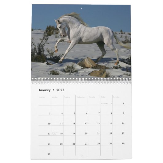 Fantasie-Pferde Kalender (Jan 2027)