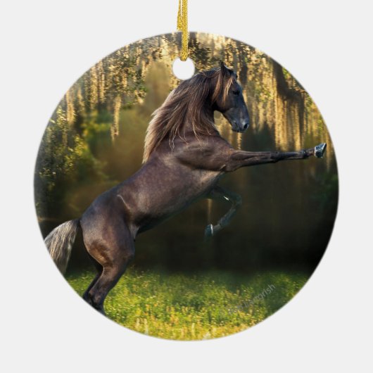 Fantasie-Pferde: Kriegers-Prinz Keramikornament (Hinten)