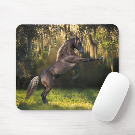Fantasie-Pferde: Kriegers-Prinz Mousepad (Mit Mouse)