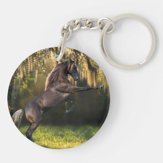 Fantasie-Pferde: Kriegers-Prinz Schlüsselanhänger (Rückseite)