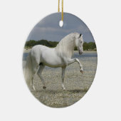 Fantasie-Pferde: Lord des Sees Keramikornament (Rechts)