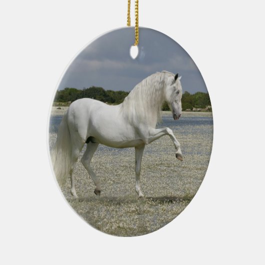 Fantasie-Pferde: Lord des Sees Keramikornament (Rechts)
