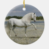Fantasie-Pferde: Lord des Sees Keramikornament (Hinten)