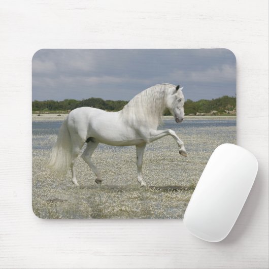 Fantasie-Pferde: Lord des Sees Mousepad (Mit Mouse)