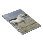 Fantasie-Pferde: Lord des Sees Notizblock (Rechte Seite)