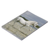 Fantasie-Pferde: Lord des Sees Notizblock (Linke Seite)