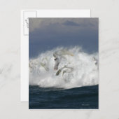 Fantasie-Pferde: Meer Postkarte (Vorne/Hinten)