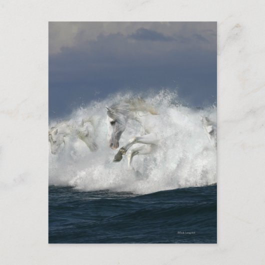 Fantasie-Pferde: Meer Postkarte (Vorderseite)