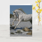 Fantasie-Pferde: Schnee-König Karte (Gelbe Blume)