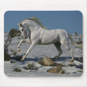 Fantasie-Pferde: Schnee-König Mousepad