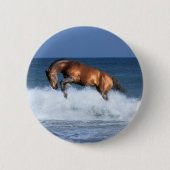 Fantasie-Pferde: Selle Francais u. Meer Button (Vorderseite)